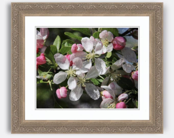 Cherry Blossom Framed Print, Cherry Blossom Art, Cherry Blossom Print, Framed Art, Wall Decor, Home Decor, Floral Print, Wall Hanging