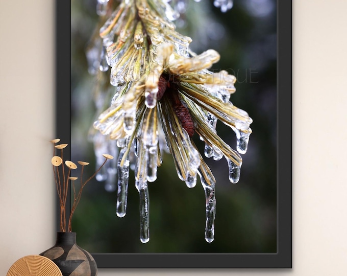 Winter Wall Art, Nature Wall Decor, Forest Artwork, Tree