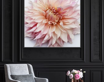May include: A close-up of a large, pink dahlia flower with delicate petals. The flower is in focus, while the background is blurred.