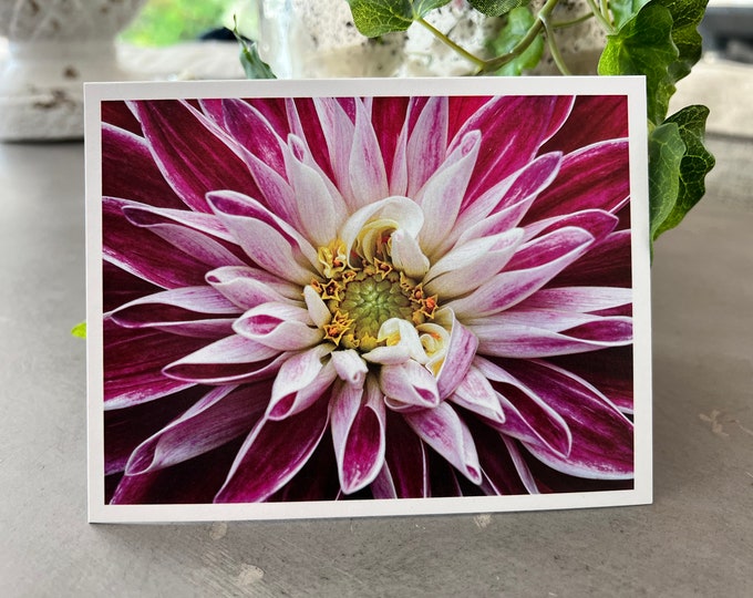 Dahlia Notecard Set, Floral Notecard Set, Flower Notecard Set, Flower Card, Flower Greeting Card, Flower Blank Card, Floral Greeting Cards