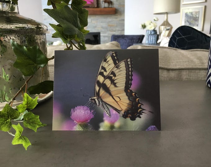 Butterfly Print, Butterfly Notecards, Butterfly Photo, Butterfly Gift, Butterfly Art, Butterfly Decor, Butterfly Wall Art, Butterfly