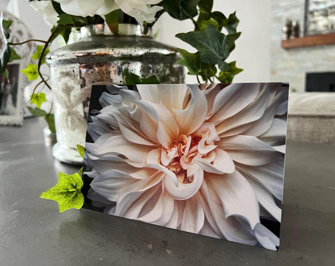 White Dahlia Notecard Set, Dahlia Notecards, Blank Cards, Floral Notecards, Floral Notecard Set, Flower Notecards, Flower Cards, Dahlia