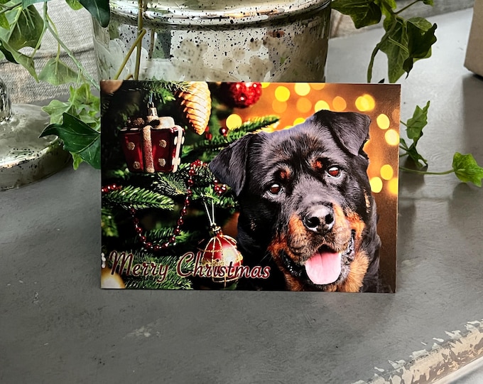 Rottweiler Christmas Cards, Rottweiler Cards, Rottweiler Holiday Cards, Rottweiler, Dog Christmas Cards, Dog Cards, Christmas Cards, Dog