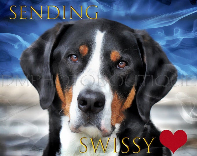Greater Swiss Mountain Dog Notecards, Swissy Notecards, GSMD Notecards, Dog Notecards, Greater Swiss Mountain Dog Greeting Card, Swissy Gift