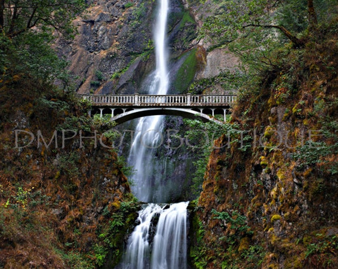 Multnomah Falls Print, Multnomah Falls Canvas, Multnomah Falls Notecards, Waterfall Art, Waterfall Print, Waterfall Artwork,Waterfall Canvas
