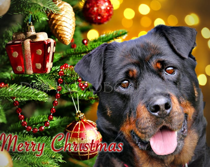 Rottweiler Christmas Cards, Rottweiler Cards, Rottweiler Holiday Cards, Rottweiler, Dog Christmas Cards, Dog Cards, Christmas Cards, Dog