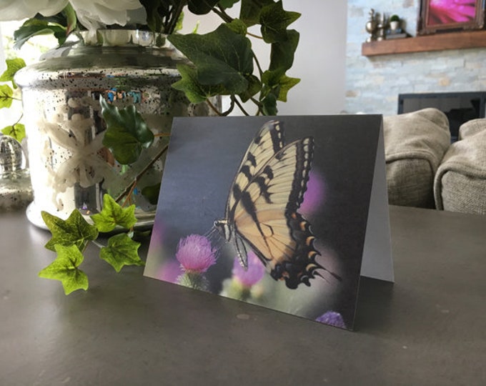 Butterfly Notecards, Butterfly Photography, Butterfly Gift, Stationary, Butterfly, Butterfly Stationary, Spring Stationary,Mother's Day Gift