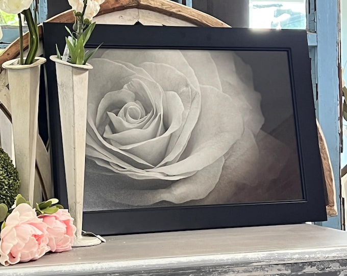 Black & White Rose Print, Rose Notecards, Rose Photo, Flower Photo, Black and White Wall Art, Wall Decor, Rose Art, Rose Print,Rose Wall Art