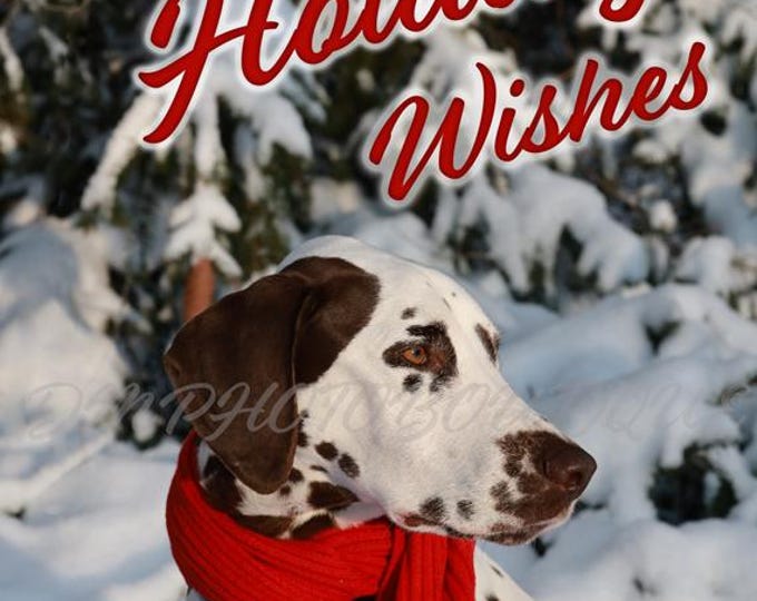 Dalmatian Holiday Cards, Dalmatian Christmas Cards, Dalmatian Cards, Dog Holiday Cards, Dog Christmas Cards, Dalmatian, Dog Greeting Card