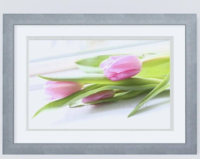 Tulip Notecards, Tulip Greeting Card, Tulip Cards, Flower Card, Flower Print, Floral Notecard, Floral Greeting Card, Easter Card, Flower Art