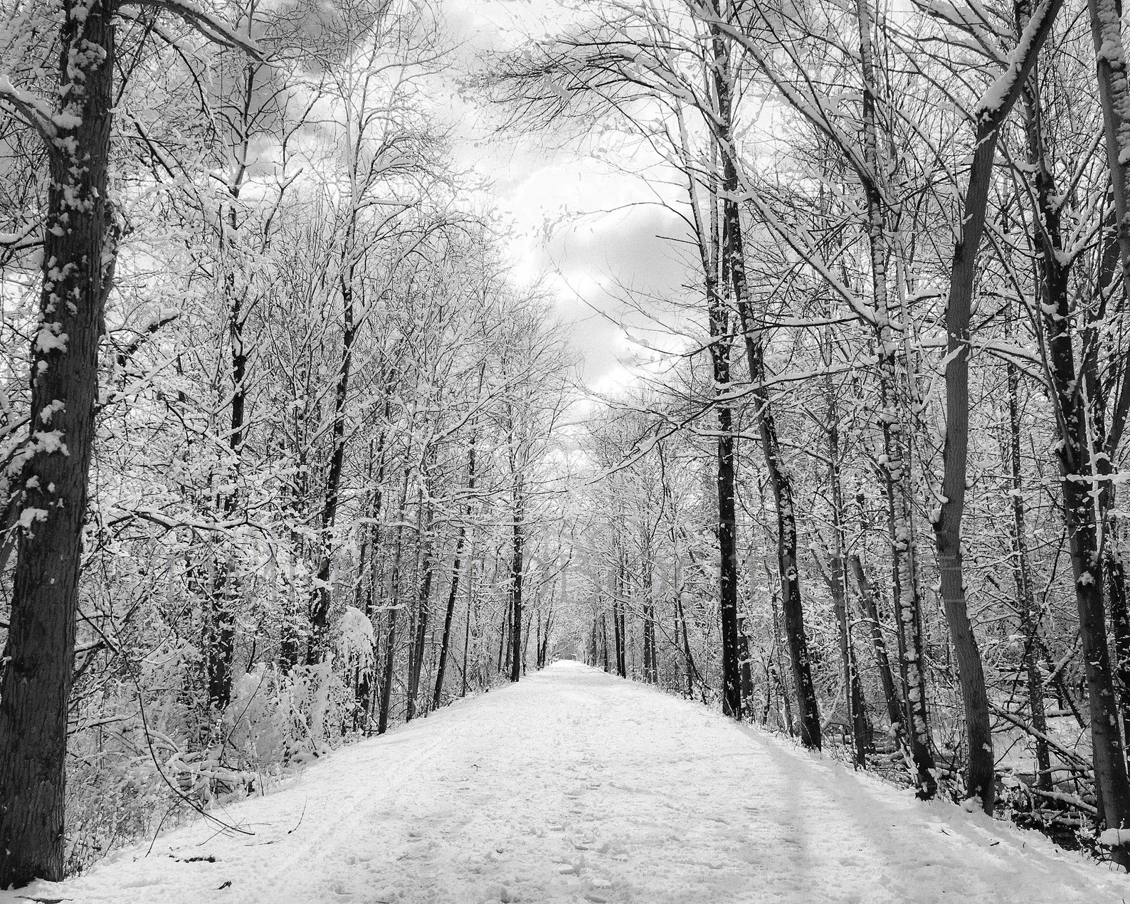 Winter Landscape Winter Scene Art Winter Landscape Print Etsy