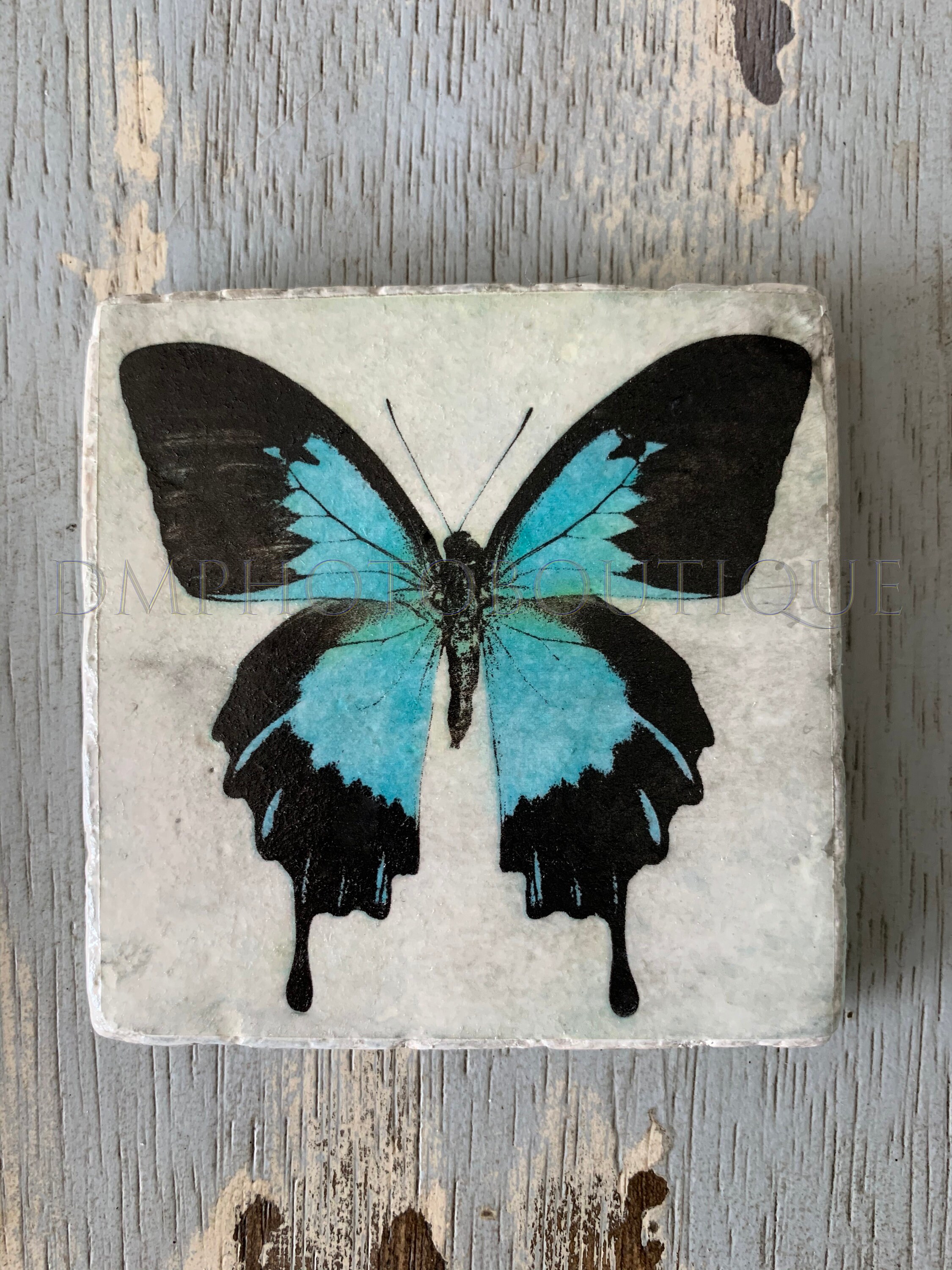 Butterfly Coasters Set of 4 Butterfly Coaster Set Etsy