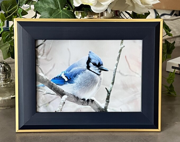 Blue Jay Print, Blue Jay Notecards, Blue Jay Greeting Cards, Blue Jay Cards, Blue Jay Gift, Bird Notecards, Bird Gift, Bird Lover Gift