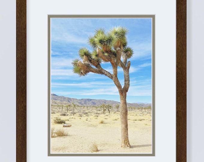 Joshua Tree Print, Joshua Tree Canvas, Joshua Tree, Joshua Tree National Park Print, California Print, Palm Springs Print, Tree Art, Desert
