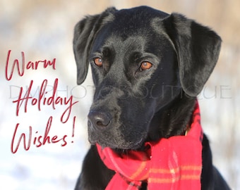 Labrador Retriever Holiday Cards, Labrador Retriever Christmas Cards, Black Lab Holiday Cards, Black Lab Christmas Cards, Black Lab, Lab