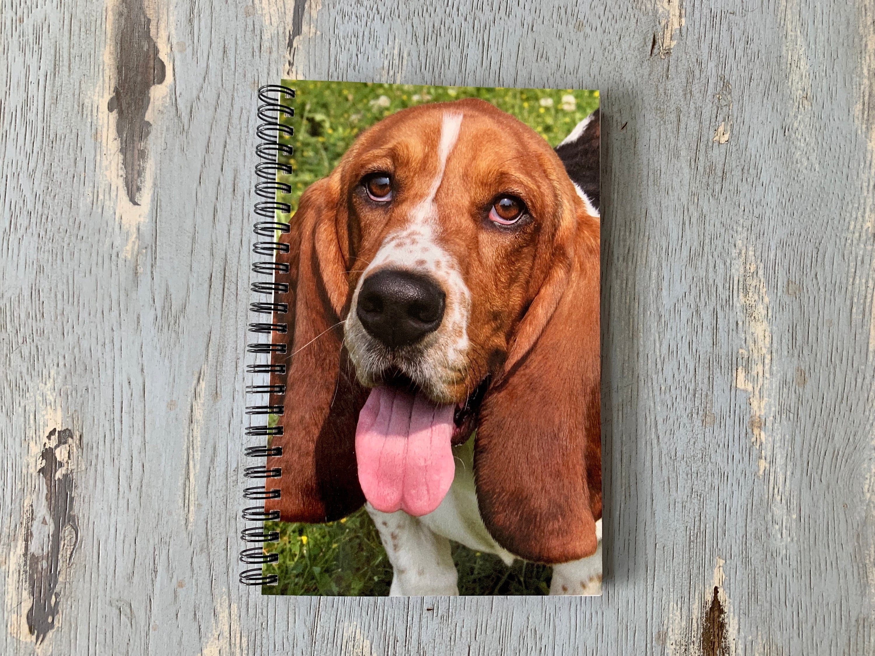 basset hound items