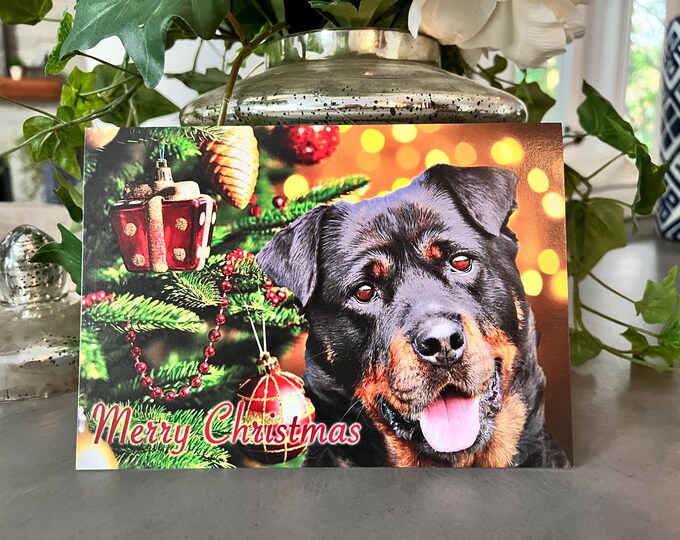 Rottweiler Christmas Cards, Rottweiler Cards, Rottweiler Holiday Cards, Rottweiler, Dog Christmas Cards, Dog Cards, Christmas Cards, Dog