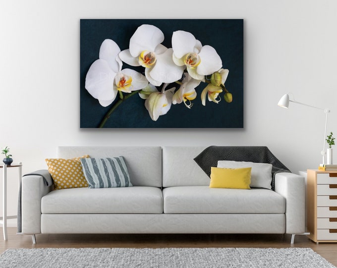 White Orchid Print, White Orchid Canvas, White Orchid Art, Orchid Print, Orchid Canvas, Orchid Art, Orchid Art Print, Orchid Wall Art, Art