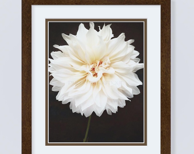Dahlia Print, Dahlia Canvas, Dahlia Notecards, White Flower Print, White Flower Canvas, White Flower Notecards, Floral Print, Floral Canvas
