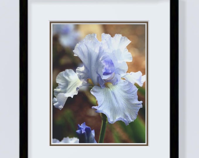 Iris Flower Notecards, Iris Flower Art, Iris Flower Print, Floral Art, Iris Print, Iris Art, Floral Art Print, Floral Artwork, Wall Art