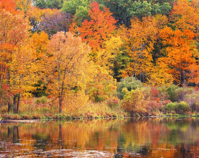 Fall Canvas, Fall Print, Fall Art Print, Fall Photography, Fall Decor, Fall Landscape Art, Fall Landscape Print, Fall Landscape Canvas, Fall