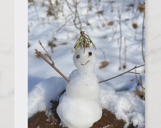 Snowman Notecard Set, Snowman Notecard, Nature Notecard Set, Nature Notecard, Winter Notecards, Snowman Card, Nature Cards