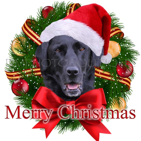 black labrador christmas gifts