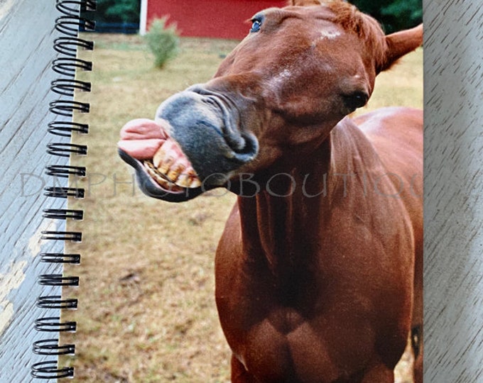 Horse Notebook, Funny Horse Notebook, Funny Notebook, Horse Journal, Funny Horse Journal, Back To School Supplies, Horse Gift, Notebook