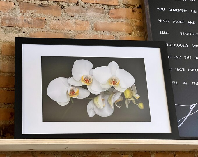 Orchid Art Print, Orchid Print, Orchid Canvas, Orchid Canvas Print, Orchid Art, Floral Art, Floral Wall Art, Orchid Wall Art, Orchid Artwork