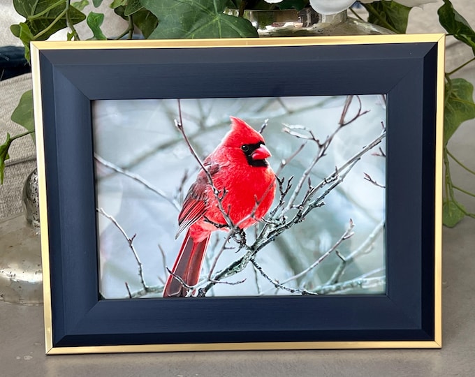 Framed Cardinal Art Print: Royal Blue & Gold Bird Artwork