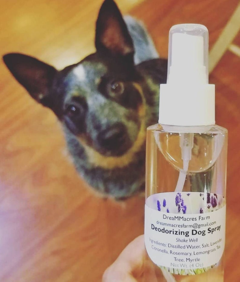 Deodorizing Dog Spray Made With Essential Oils and All Natural Etsy