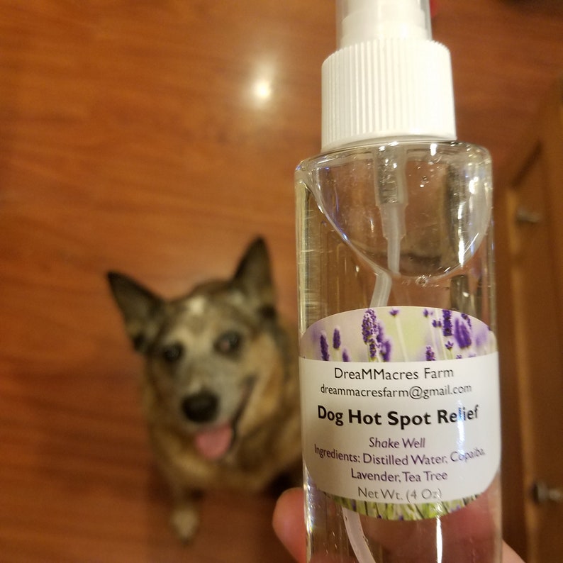 Dog Hot Spot Relief made with essential oils and all natural Etsy