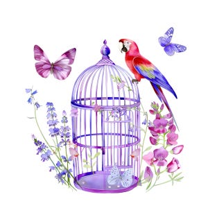25 imágenes PNG de jaulas de loros, loro tropical colorido con flores y mariposas, arte de jardín primaveral, descarga digital