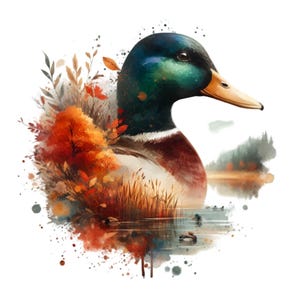 10 種類のアヒルのポートレート PNG クリップアート - 素朴な野生動物の水鳥のイラスト - 工芸品用の自然にインスパイアされたデジタル アート