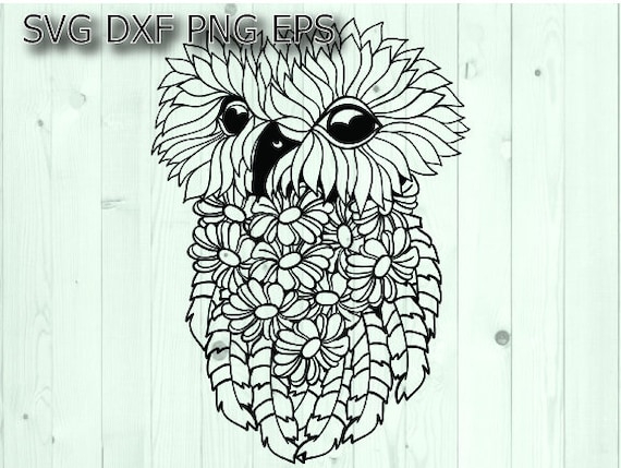 Download Mandala Owl Svg Etsy PSD Mockup Templates