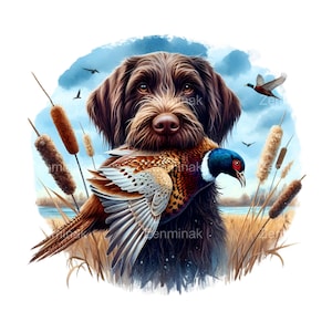 Perro de caza con faisán PNG Clipart, 14 Braco Alemán de Pelo Duro Arte, Escena de Vida Silvestre Rústica Descarga Digital