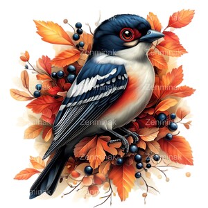 10 Clipart PNG di uccelli autunnali - Uccelli canterini colorati su foglie autunnali e bacche - Illustrazione della natura e della fauna selvatica per l'arredamento