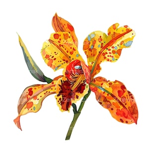 20 Orange Orchid Watercolor PNG, Clipart di fiori tropicali, Download digitale botanico vibrante per artigianato e design