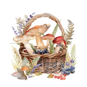 20 Clipart PNG de panier de forêt aquarelle avec des champignons, des myrtilles, des fougères, des feuilles d'automne, une illustration de la nature rustique