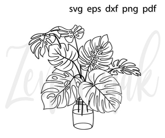 Monstera Plant Svg Monstera Svg Monstera Leaf Svg Tropical - Etsy Ireland