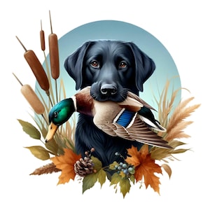 Cane da caccia con anatra Clipart PNG, 18 Labrador Retriever Arte digitale, Decorazioni per la caccia agli uccelli acquatici, Stampabile all'aperto autunnale