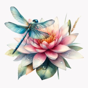 10 elegante libel png op lotusbloem illustraties, aquarel bloemen en insecten illustratie, digitaal ontwerp voor ambachten en decor