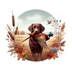 Labrador cioccolato con scena di caccia al fagiano PNG, 15 illustrazioni di cani selvatici autunnali, download digitale di arte di caccia