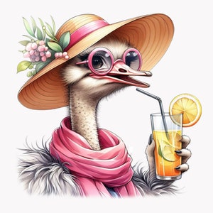 10 PNG clipart de avestruz extravagante – imagem PNG de verão – pássaro engraçado com chapéu, cachecol, coquetel e óculos de sol para arte e artesanato animal peculiar