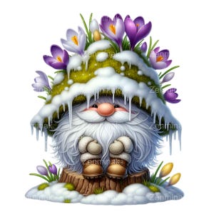 Peut inclure: Un gnome blanc avec une longue barbe blanche et un chapeau vert mousseux avec des crocus violets et un sommet blanc neigeux. Le gnome est assis sur une souche d'arbre avec de la neige autour.