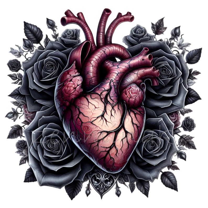 Gothic Heart With Black Roses 12 PNG Anatomical Cartoon Illustration