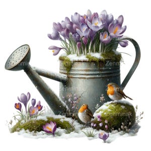 10 arrosoirs avec crocus PNG Clipart - enneigée, fleurs de printemps, rouges-gorges sur l'herbe, scène d'oiseau de jardin rustique