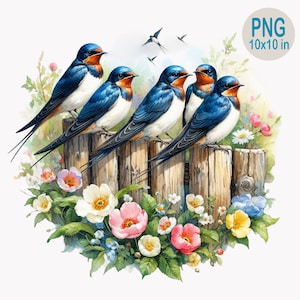 10 Swallow Birds PNG Clipart on Wooden Fence with Spring Flowers, Garden Illustration, Nature Wildlife Art
