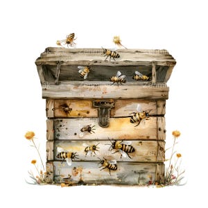 15 rustieke bijenkorf clipart png, aquarel bijen met houten korf, honingbij illustratie kunst