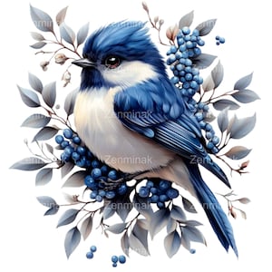 Pájaro PNG Clipart, 12 elegantes pájaros cantores con bayas azules y hojas, descarga digital de alta calidad